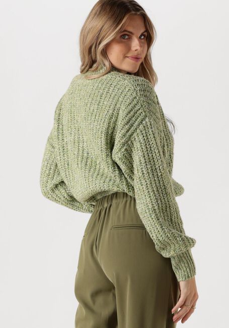 Grüne ANOTHER LABEL Pullover DYLAN KNITTED PULL - large