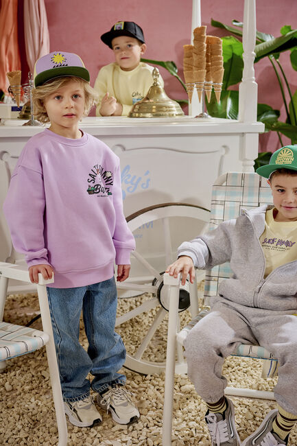 Lila Z8 Sweatshirt ARIS - large