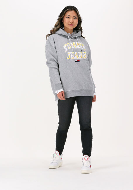 Hellgrau TOMMY JEANS Sweatshirt TJW OVRSZD COLLEGE ARGYLE HOODIE - large