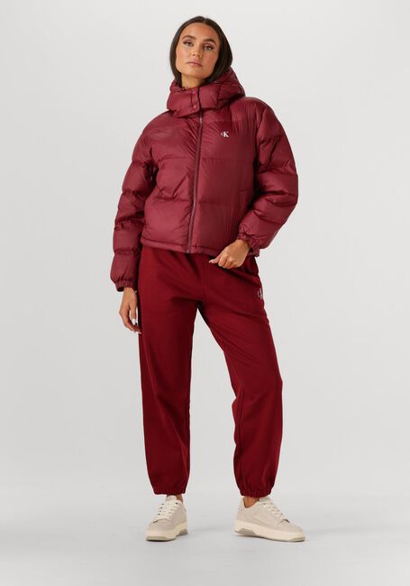 Bordeaux CALVIN KLEIN Wattierte Jack ESSENTIAL MIDWEIGHT PUFFER JACKE - large
