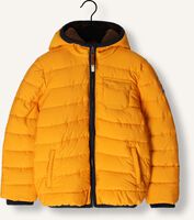 Gelbe MOODSTREET Wattierte Jack BOYS JACKET PUFFER Gelbe MOODSTREET Wattierte Jack BOYS JACKET PUFFER - medium
