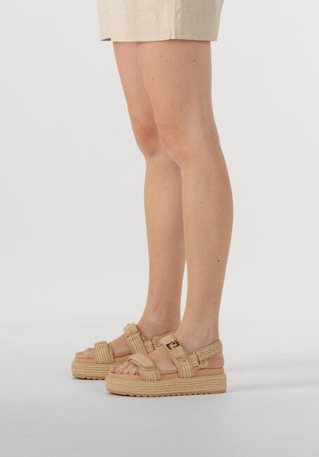 Beige STEVE MADDEN Flache Sandalen BIGMONA - large