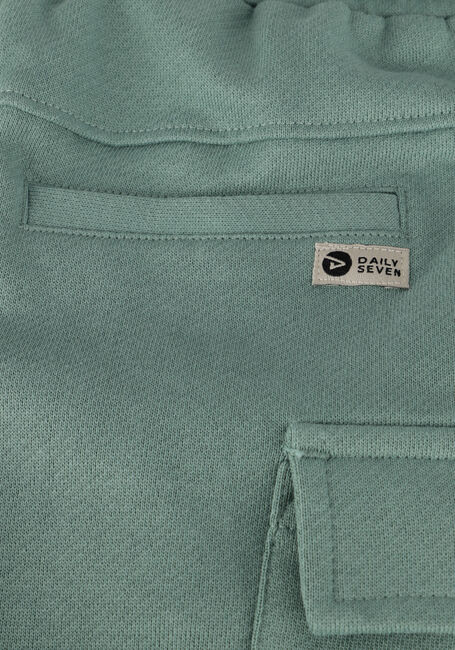 Grüne DAILY7 Kurze Hose CARGO SHORT - large