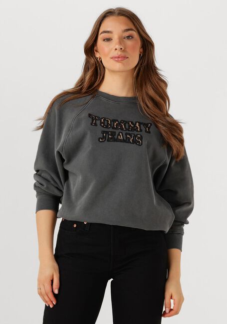 Dunkelgrau TOMMY JEANS Pullover TJW BXY LEOPARD VARSITY CREW - large