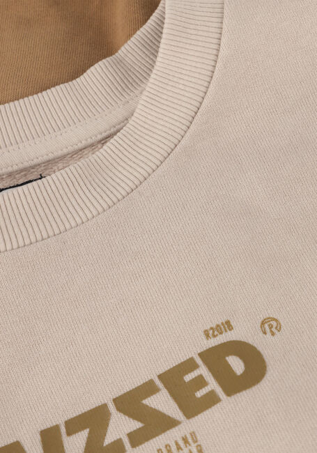 Sand RAIZZED Sweatshirt MALE - large