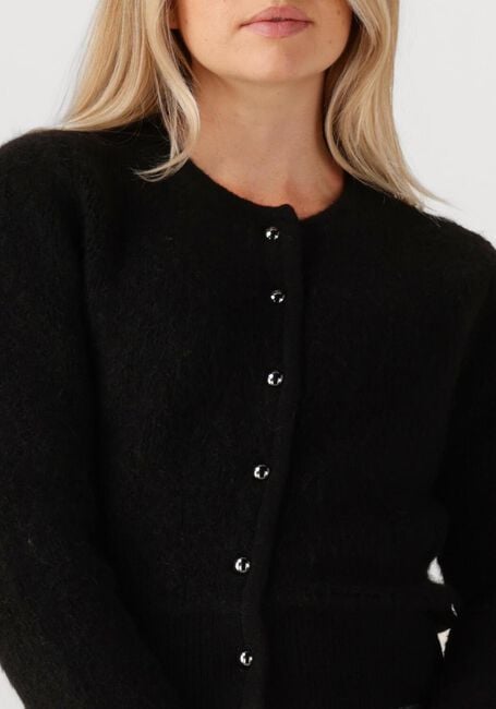 Schwarze DES PETITS HAUTS Strickjacke CUMIN - large