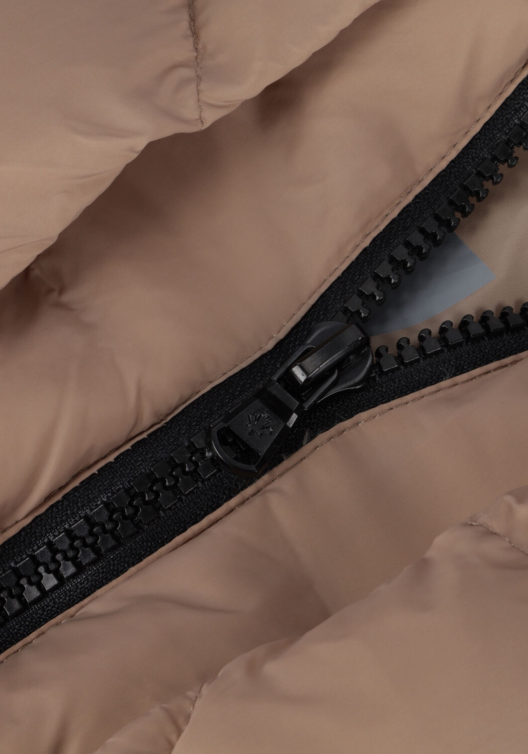 Sand CANADIAN Wattierte Jack EUGENIE SHORT RECYCLED - large