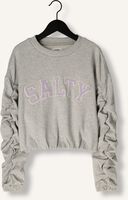 Graue Salty Stitch Sweatshirt SALTY SWEATER CROPPED Graue Salty Stitch Sweatshirt SALTY SWEATER CROPPED - medium