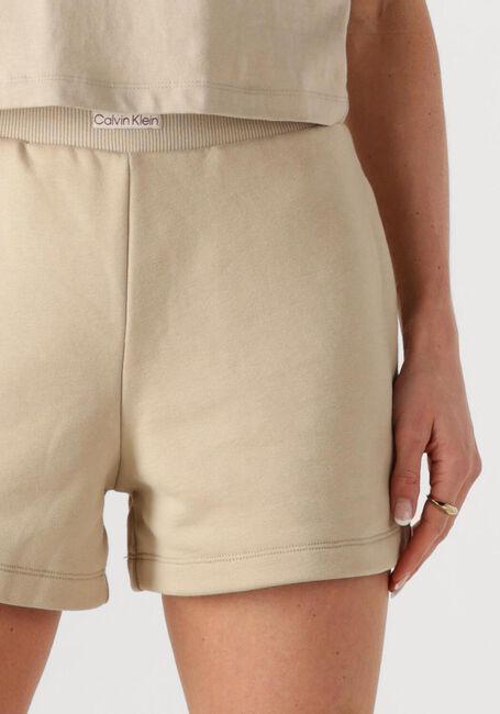 Beige CALVIN KLEIN Hosen PLACED INSTITUTIONAL SHORT - large