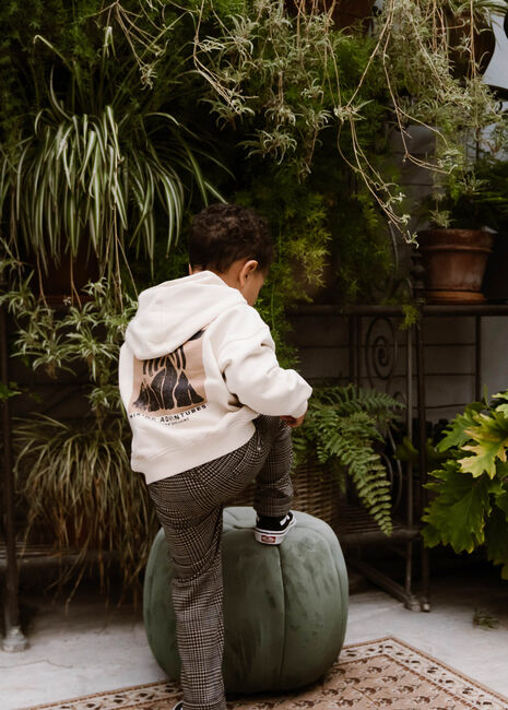 Sand DAILY7 Hoodies HOODIE BACKPRINT ADVENTURES - large