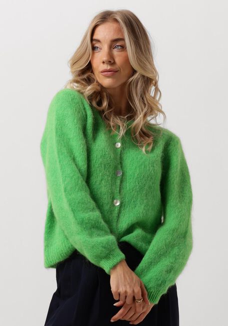 Grüne AMERICAN DREAMS Strickjacke SUSAN ALPACA CARDIGAN - large