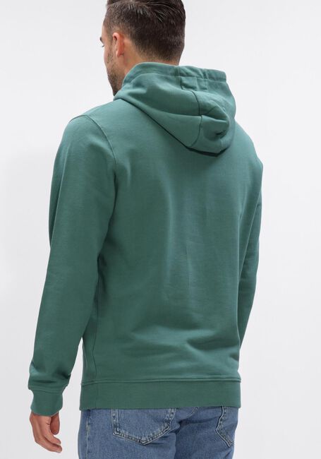 Gr&uuml;ne LYLE & SCOTT Sweatshirt PULLOVER HOODIE - large