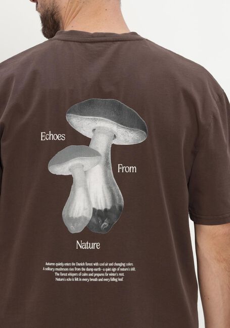 Braune ANERKJENDT T-shirt AKVILLADS ECHOS SS TEE - large