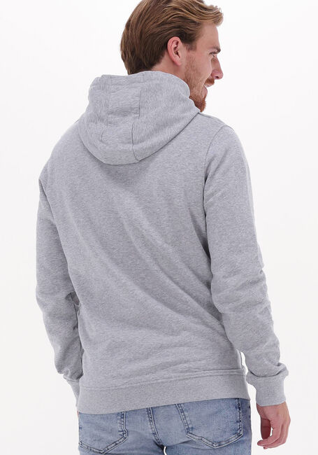 Graue LYLE & SCOTT Pullover & Cardigans PULLOVER HOODIE - large