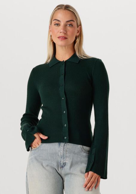 Dunkelgrün MODSTRÖM Pullover HIROKIMD CARDIGAN - large