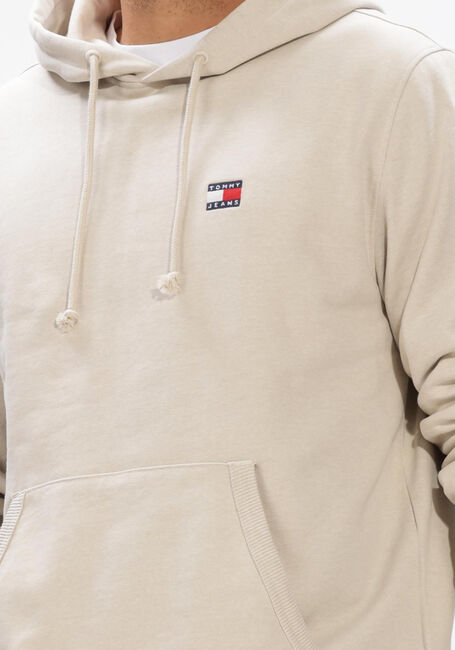 Hellblau TOMMY JEANS Sweatshirt TJM REG BADGE HOODIE EXT - large