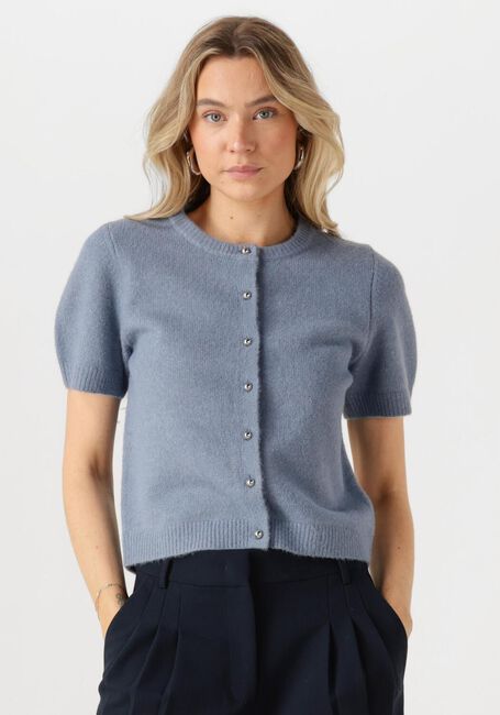 Hellblau NEO NOIR Strickjacke MITTA KNIT CARDIGAN - large