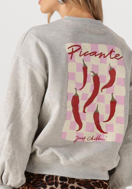 Graue YDENCE Sweatshirt SWEATER JUST CHILLIN - large