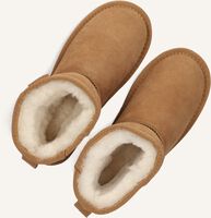 Cognacfarbene VINGINO Winterstiefel ASHLEY MID Cognacfarbene VINGINO Winterstiefel ASHLEY MID - medium