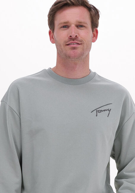 Grüne TOMMY JEANS Sweatshirt TJM TOMMY SIGNATURE CREW - large