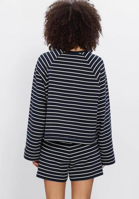 Dunkelblau DEBLON SPORTS Sweatshirt DANA STRIPED SWEATER - large