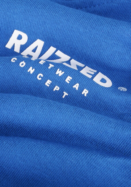 Blaue RAIZZED Sweatshirt WARREN - large