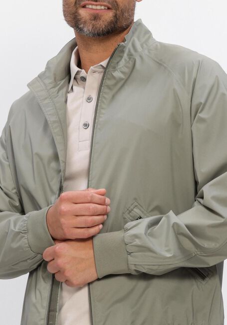 Hellgrau ELVINE Jack EJJE - large