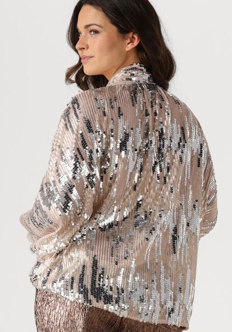 Silberne AMAYA AMSTERDAM Blusen GLITTER BLOUSE - large