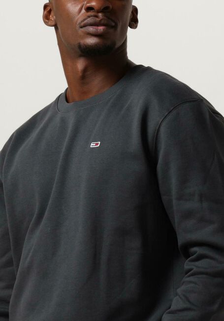 Dunkelgrau TOMMY JEANS Sweatshirt TJM REGULAR FLEECE C NECK - large