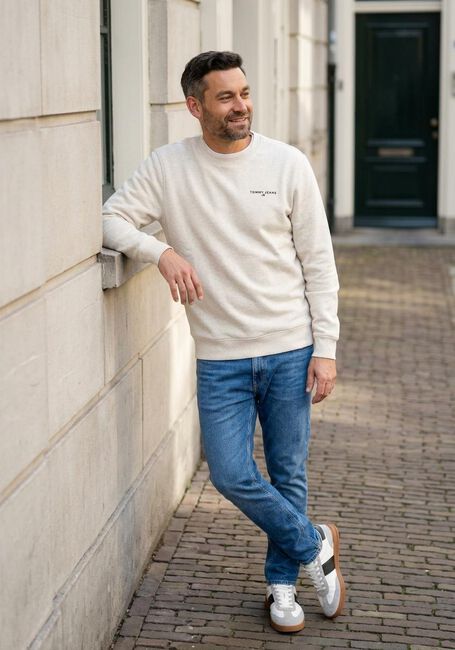 Beige TOMMY JEANS Sweatshirt TJM REG LINEAR CREW EXT - large