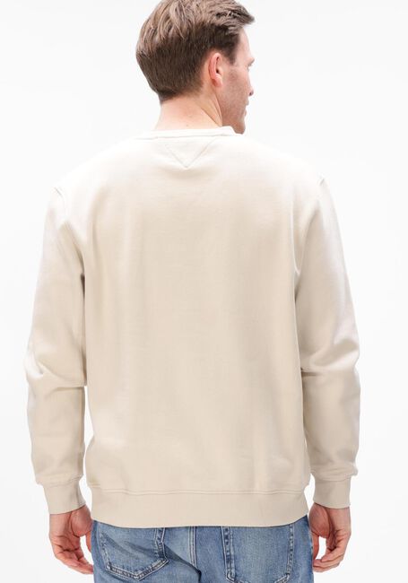 Beige TOMMY JEANS Sweatshirt TJM REG LINEAR CREW EXT - large