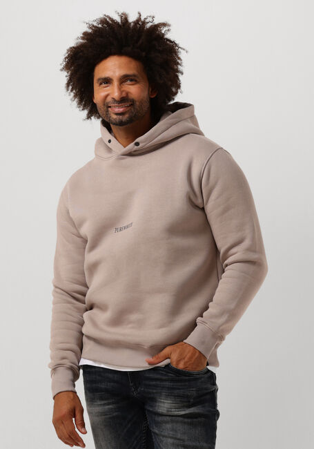 Taupe PUREWHITE Sweatshirt HOODIE WITH FRONT PRINT AND BACK ARTWORK - large