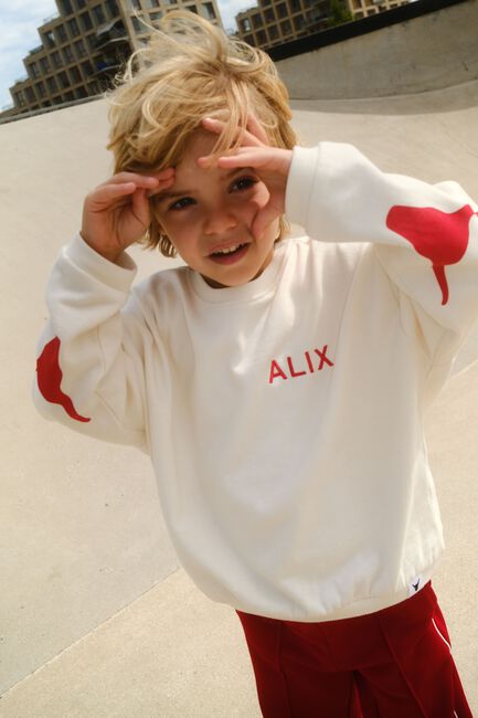 Creme ALIX MINI Sweatshirt KNITTED BULL SLEEVE SWEATER - large