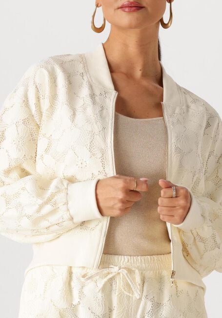 Creme AMAYA AMSTERDAM Jack MEADOW - large