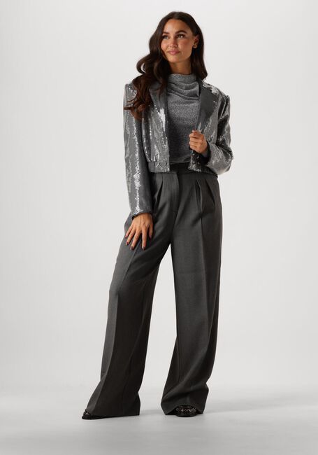 Graue AAIKO Hose SABA SEQUINS PES 356 - large