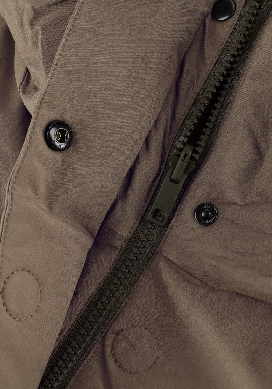 Gr&uuml;ne ELVINE Wattierte Jack ASHA - large