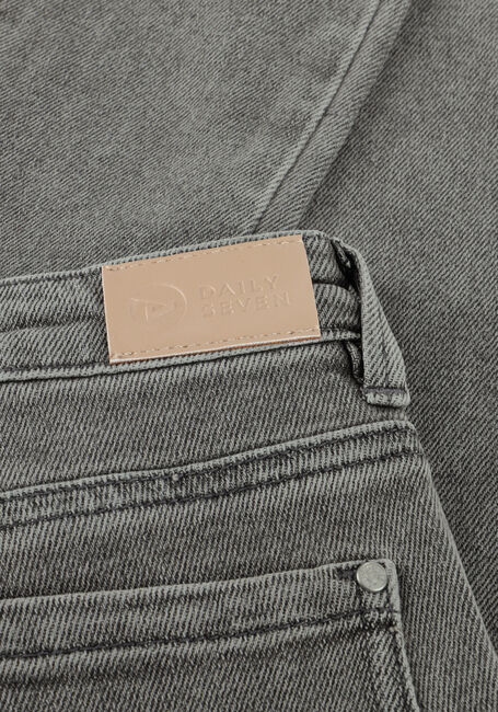 Graue DAILY7 Cargo jeans 2600 STRAIGHT CARGO FIT - large