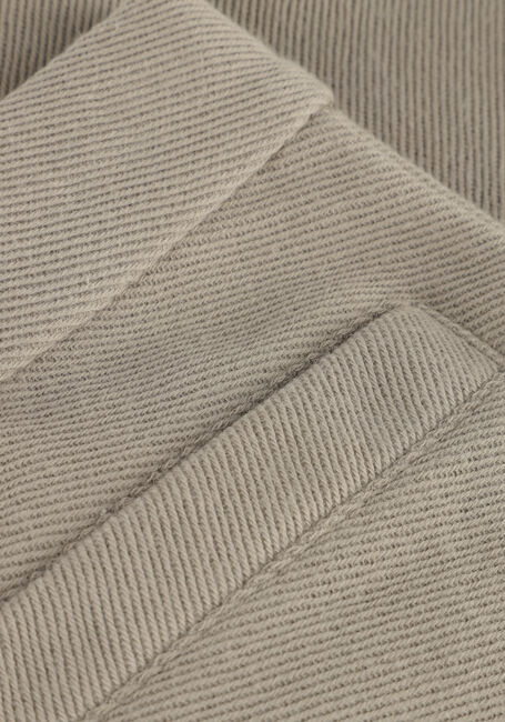 Taupe LIL' ATELIER Kurze Hose NMMKALEO SHORTS LIL - large