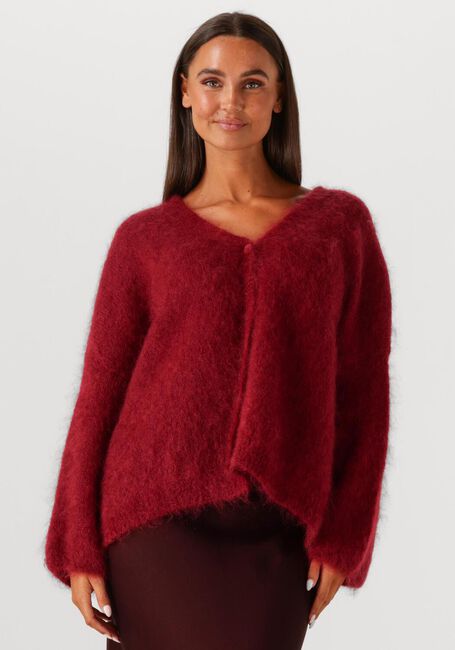 Bordeaux AMAYA AMSTERDAM Pullover & Cardigans ROOS - large