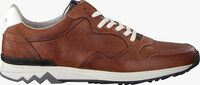 Cognacfarbene FLORIS VAN BOMMEL Sneaker low 16238 - medium