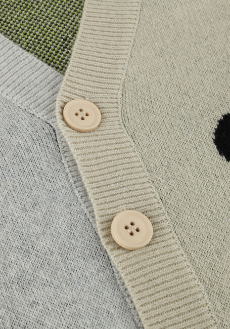 Mehrfarbige/Bunte MOLO Strickjacke BURT - large