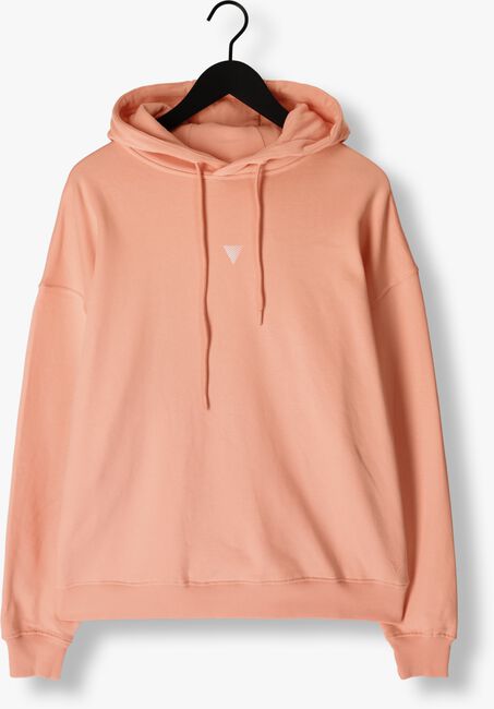 Koralle PURE PATH Pullover HOODIE WITH BACK PRINT AND SMALL FRONTPRINT - large