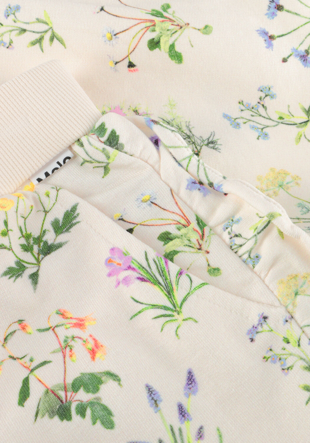 Ecru MOLO Kurze Hose ACACIA - large