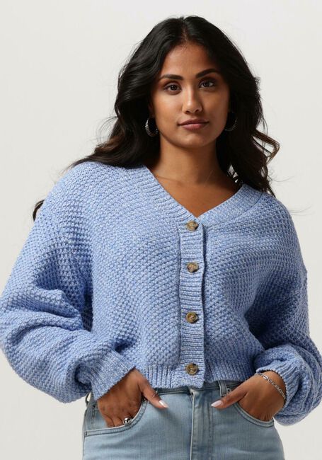 Blaue ANOTHER LABEL Strickjacke ZHOUR KNITTED CARDIGAN L/S - large