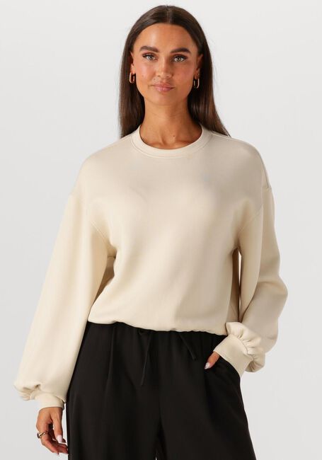Beige MSCH COPENHAGEN Sweatshirt MSCHBRIONNA IMA Q SWEATSHIRT - large