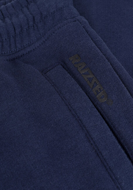 Blaue RAIZZED Jogginghose SHELBY - large