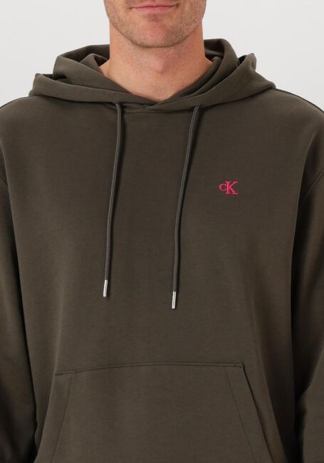 Graue CALVIN KLEIN Sweatshirt LS EU 350TERRY MONOGRAM HOODIE - large