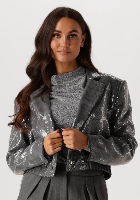 Graue AAIKO Blazer MILLE SEQUINS PES 356 - large