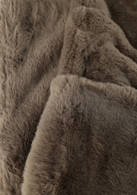 Taupe BEAUMONT Schal HANNY SCARF - large