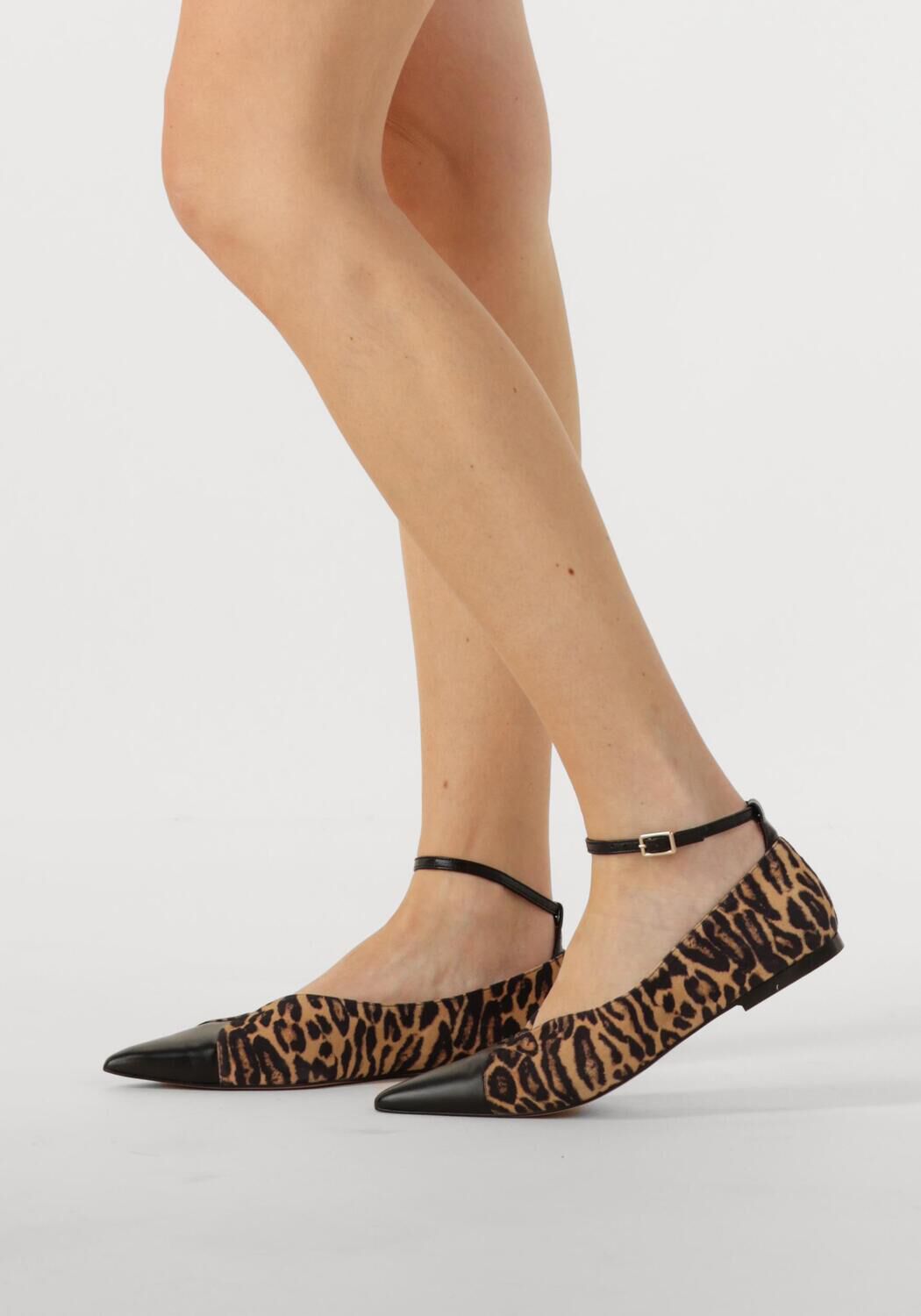 Braune TORAL Ballerinas CRISTELLE - large